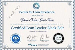 Certified Lean Black belt